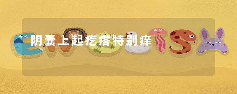 阴囊上起疙瘩特别痒