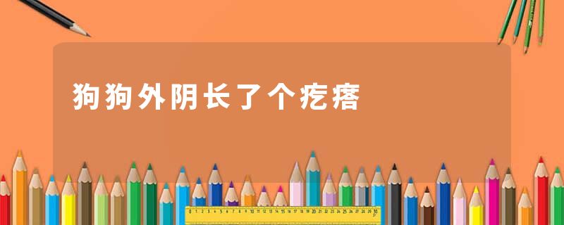 狗狗外阴长了个疙瘩