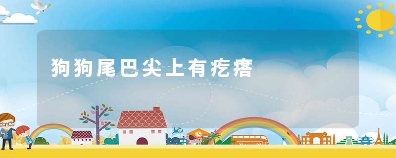 狗狗尾巴尖上有疙瘩