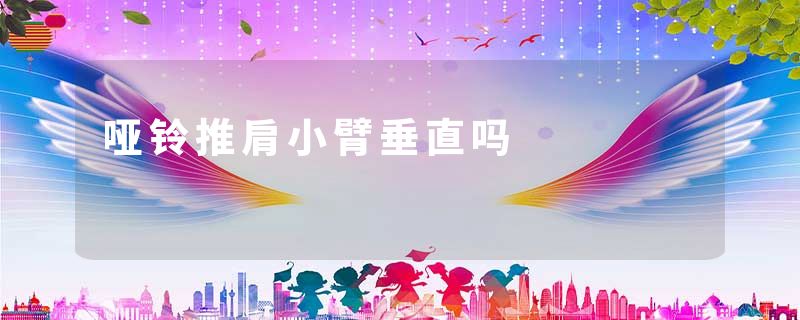 哑铃推肩小臂垂直吗